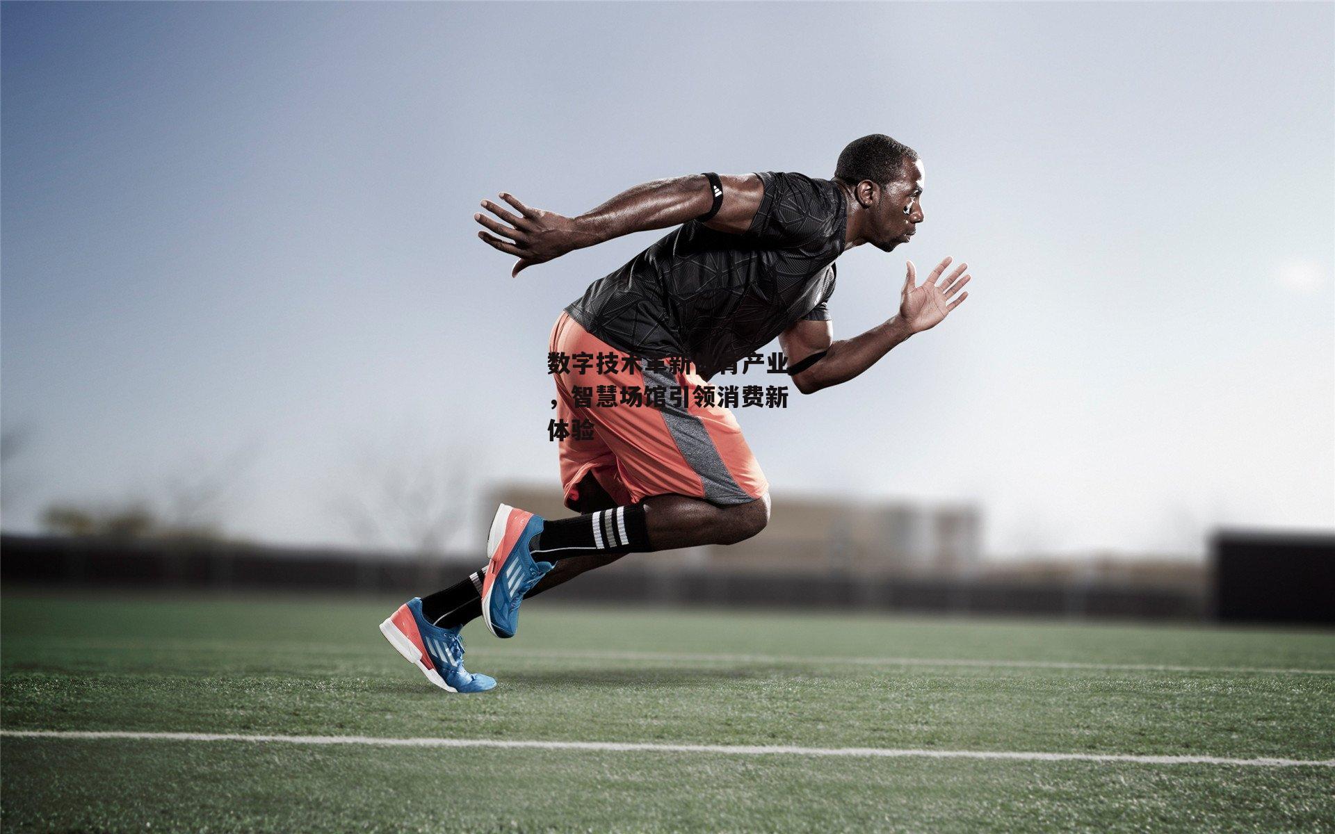 数字技术革新体育产业,智慧场馆引领消费新体验